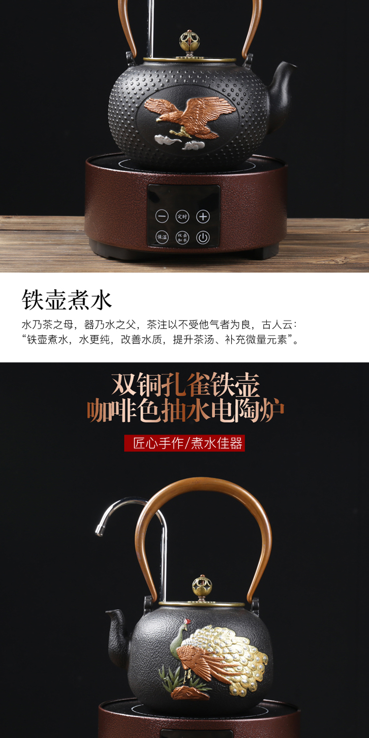 ZongTang Japan iron pot of cast iron tea suit the electric TaoLu boiled tea, the southern household boiled water boiling water pot by hand