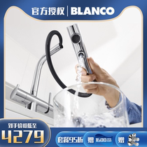 Domestic spot Blanco Platinum Wave high water purification kitchen faucet FONTAS-S double outlet faucet 525200