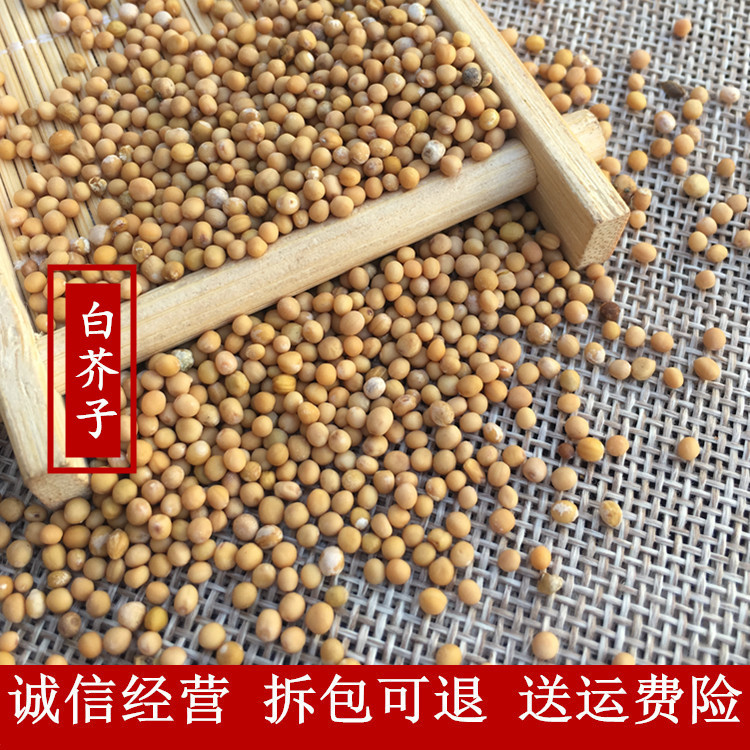 White mustard seed white mustard seed raw white meson spicy rapeseed mustard seed 50 grams natural farm authentic raw mustard dry