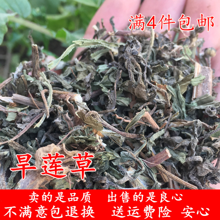 Dry Lotus Grass 500 gr Fresh Dry Ink Dry Lotus Black Ink Grass Pig Tooth ink Ink Bucket Grass for another Glossy Privet Dry