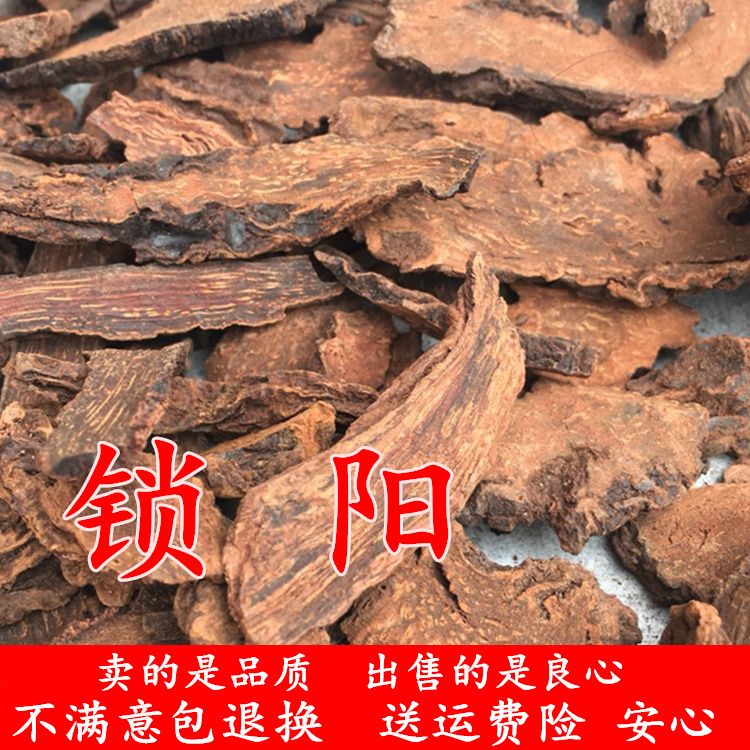 Raw Golden Lock Yang 100g Male Nourishing Lock Yang Sheet For Another Sale Of Cistanche Masturbin Tea Marka Dried Bubble Wine Material