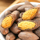 Mihe Torreya 2023 new arrival old tree Xiangfei nuts roasted seeds and nuts specialty snacks Xiangfei 500g canned flagship store