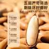 Every Fruit Time Hand-Peeled Brazilian Pine Nuts 500g New Stock Large Kernels Afghan Long Pine Nuts New Year Nuts Snacks