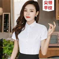 [Короткие рукава] белый воротник