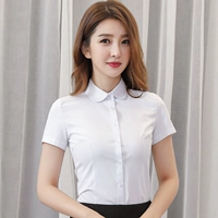 【С коротким рукавом】 круглый воротник чистый белый