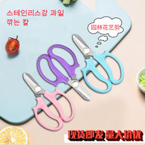  Garden gardening flower arrangement Pruning shears Floral branch shears Flower scissors Flower scissors special household scissors flower branch cutting tools