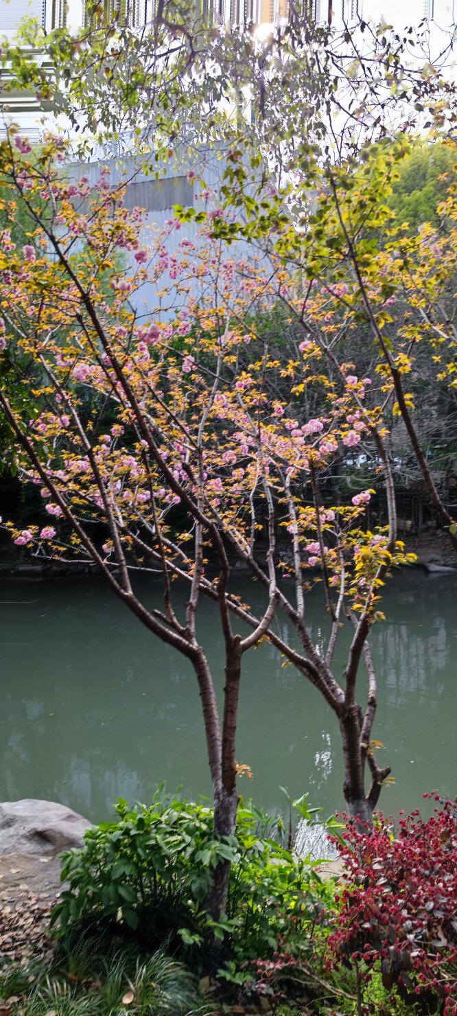 日光月华潮流馆