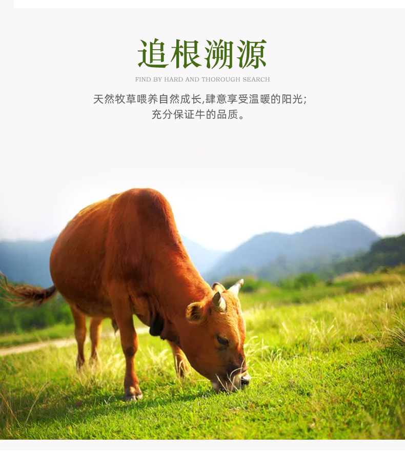 澳洲进口 带肉牛棒骨筒骨 5斤 骨髓饱满 图5