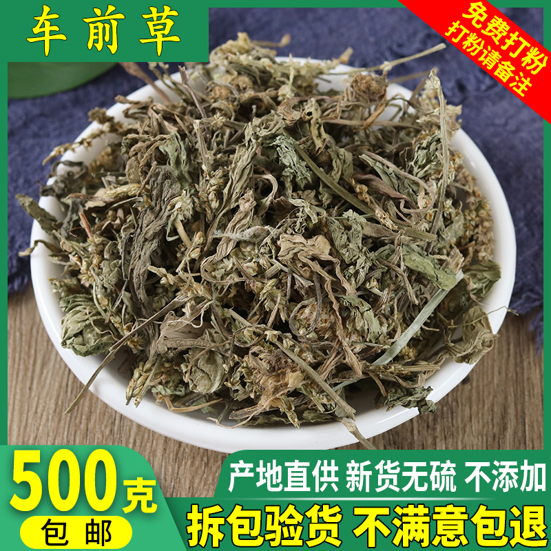 Selected plantain, sagebrush, wheel vegetable, ox tongue, ground bile, 500g Chinese herbal medicine store