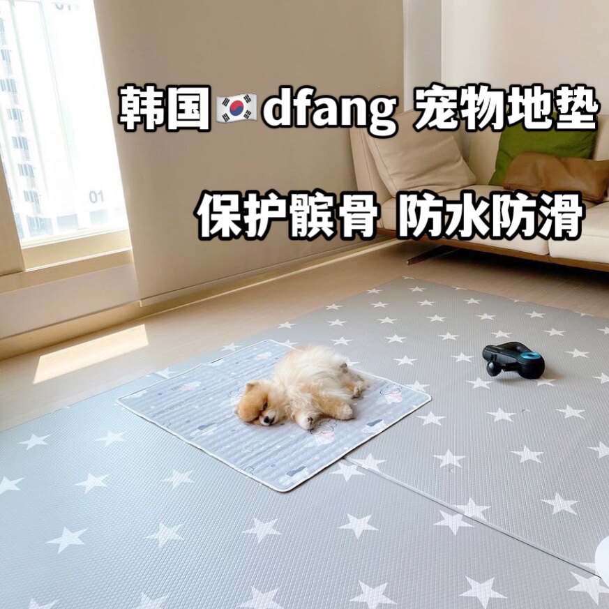South Korea Imports Dfangpet Kitty Dogs Ground Mat Waterproof Non-slip Anti-Urine Protection Patella Joint Sleeping Mat