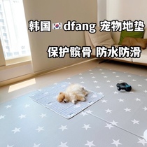South Korea Imports Dfangpet Kitty Dogs Ground Mat Waterproof Non-slip Anti-Urine Protection Patella Joint Sleeping Mat