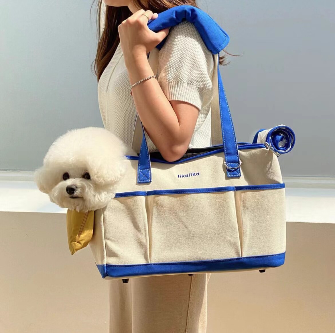 Direct Mail Korea Likalika Pet Out Bag Cat Dog Breathable Single Shoulder Handbag than Bear Portable