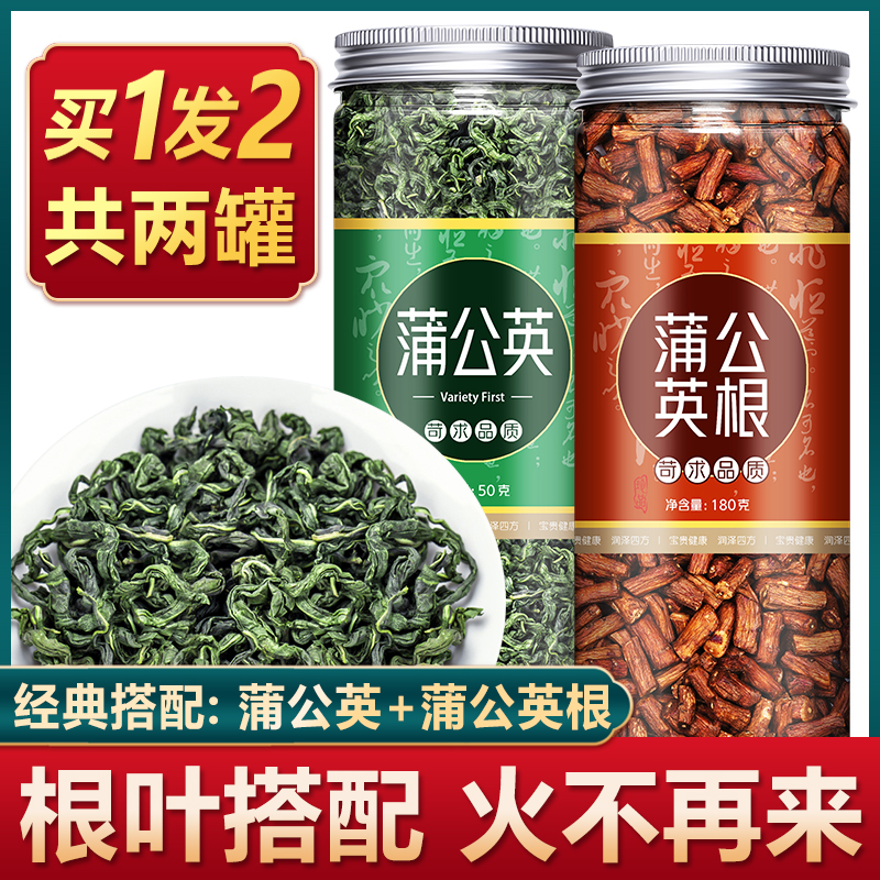 Dandelion Root Tea Wild Special Class Dry Goods Flagship Store Women's Breast Herbal Medicine Loose Knot Tea Tea Bag