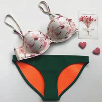 Australias foreign trade exports bikini rubber printing size chest steel bracket gathered hot spring European and American womens swimsuit bikini