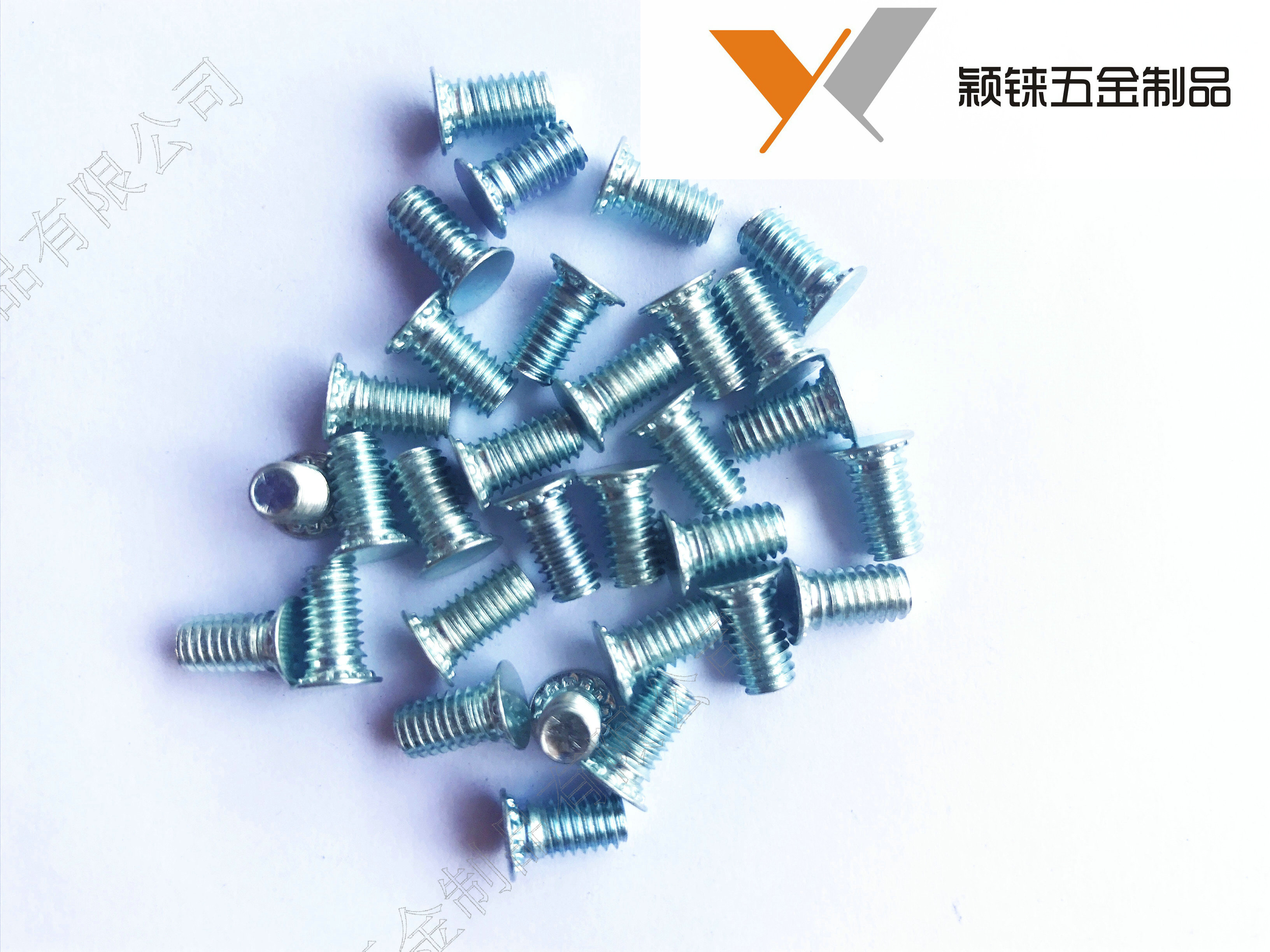 Galvanized pressure riveting screw pressure riveting screw pressure plate screw pressure plate screw FH-M6 M8-8-40