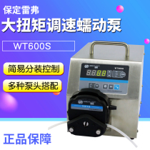 Baoding Refer WT600S large torque throttle peristaltic pump Easy split split control multiple pump heads matching