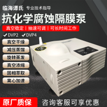 Linhai Tans DVP series resistant chemical corrosion diaphragm pump DVP2 4 2D 8 16 vacuum pump pump speed adjustable