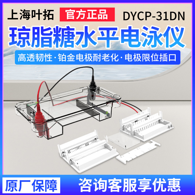 上海叶拓DYCP-31DN可搭配电源DYY-6C/6D琼脂糖水平电泳仪
