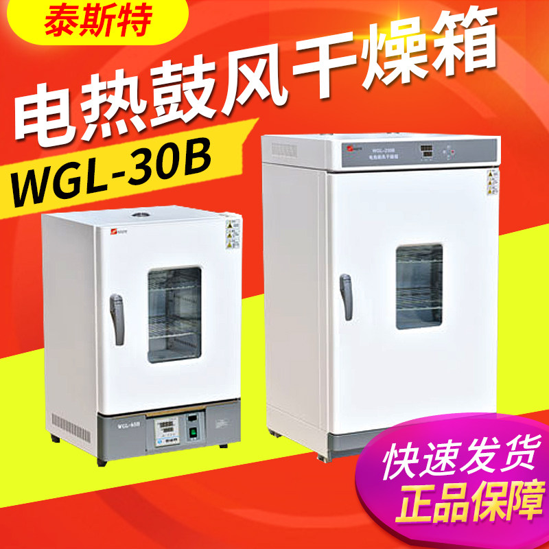 泰斯特WGL-30B 45B 125B WGL-230B电热鼓风干燥箱实验室恒温烘箱