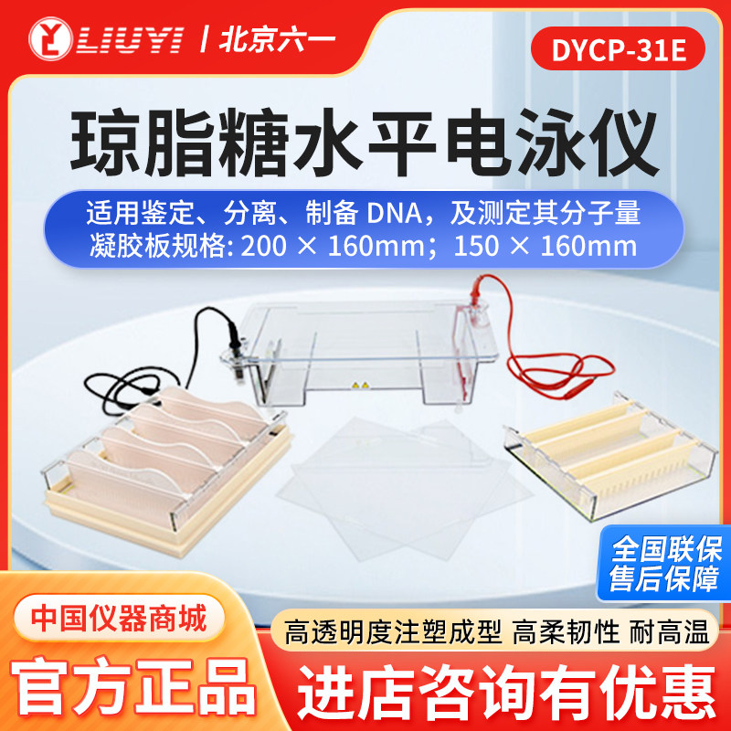 北京六一DYCP-31DN/CN水平电泳槽凝胶琼脂糖微型小型电泳仪现货