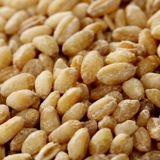 Пшеница Renmai Rice Peel Wheat пшеница 2020 Новая пшеничная пшеница пшеница Rennong House Henan Wheat 500G