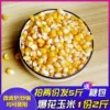 Товары от 果小妞旗舰店