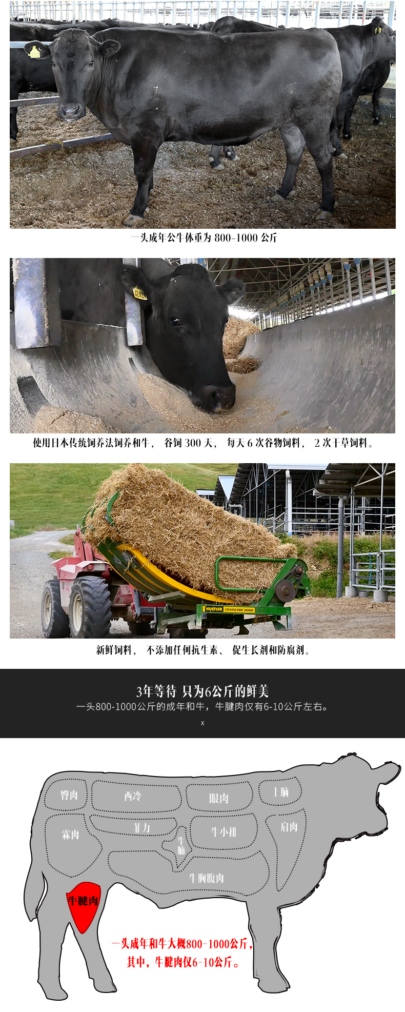 谷言 澳洲进口和牛 谷饲牛腱子 金钱腱 4斤 图5