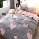 Chăn bông che ký túc xá sinh viên độc thân 1,5m1,8 mét 100% chăn trẻ em gấp đôi 200x230 - Quilt Covers