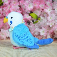 Синий попугай