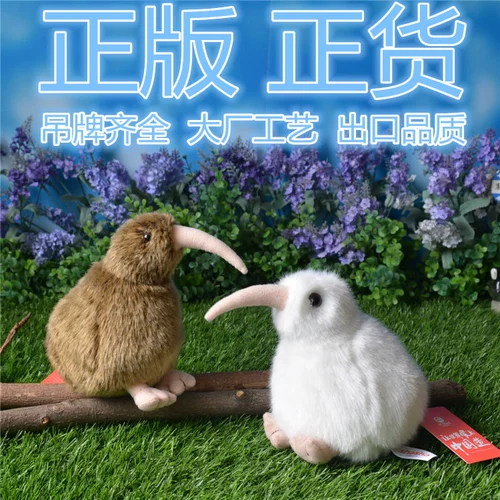 Новая Зеландия странная птица Киви