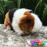 Pigg Plush Toy Dutch Litg