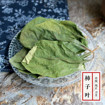 Chinese herbal medicine high quality persimmon cotyledon persimmon leaf tea Persimmon cotyledon tea persimmon leaf powder wild new 500g