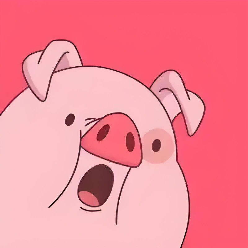 Pink Pig服装店