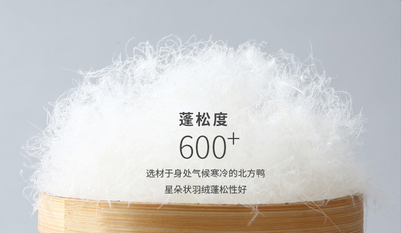 冰洁 男士短款立领羽绒服 600蓬90鸭绒 图8