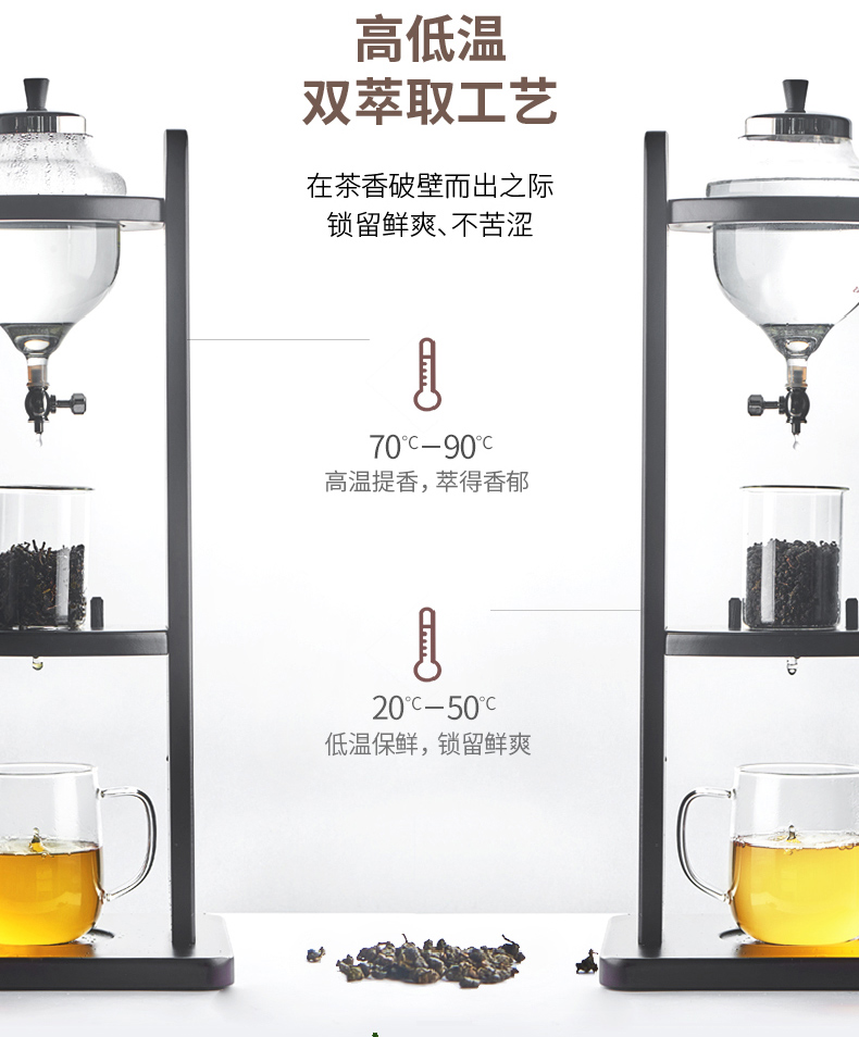 华东！茶里王乌龙茶420ML*12瓶