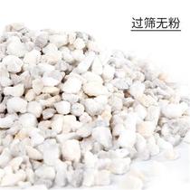 newPerlite flower culture substrate for horticulture succule