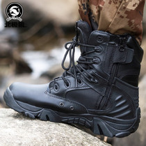 Arctic wolf summer high-top zipper combat boots Special forces breathable army boots Tactical boots for training Marine hiking boots