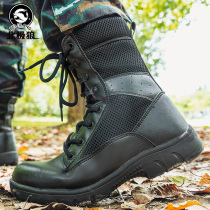 Autumn high breathable net surface combat boots male military fans boots Special Forces boots tactical desert mountaineering land combat training boots
