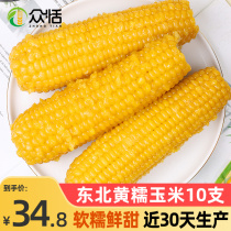 Corn Fresh Glutinous Corn 10 Sweet Ready-to-eat Sweet Corn Grain Minus Meals Fertilizer Northeast Vacuum Sticky Corn Stick Now