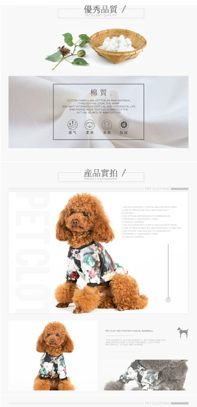 Chó con quần áo gấu Teddy Xiong VIP hai chân nhỏ chó Bmeiji búp bê thú cưng mùa thu và mùa đông mặc quần áo Wei - Quần áo & phụ kiện thú cưng