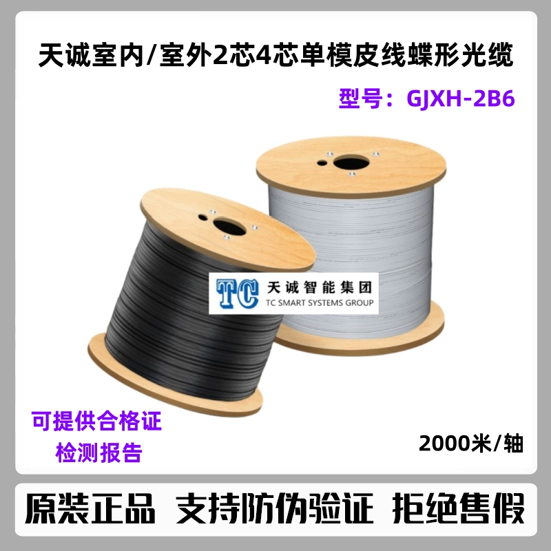 Genuine Tiancheng Gjxh Type Dual-Core Metal Leather Wire Butterfly-Shaped Optical Cable Indoor and Outdoor 2-Core 4-Core Optical Fiber Gjxfh-2B6
