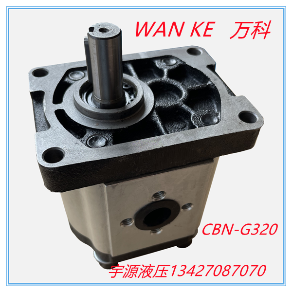 CBN-G320 316325 right single gear pump WANKE Vanke high-pressure gear pump cast iron before and after