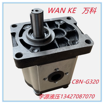 CBN-G320 316325 right single gear pump WANKE Vanke high-pressure gear pump cast iron before and after