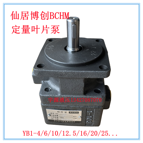 Xianju quantitative vane pump YB1-25 16 20 12 5 10 6 4 Bo Chuang BCHM hydraulic machine tool oil pump