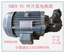 Hydraulic oil pump motor 0 75KW1 5KW2 2KW3 7KW5 5KW VP15 VP20 30 VP40FA3