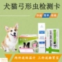 Wenhe pet Toxoplasma que thử Thẻ thử nghiệm chung cho chó và mèo - Cat / Dog Medical Supplies máy siêu âm thú y giá rẻ