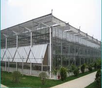Board greenhouse intelligent continuous building pattern Sunshine board greenhouse vegetable steel pipe seedling greenhouse flower greenhouse bone