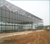 Linked film greenhouses flowers and vegetables greenhouses steel pipes thin films greenhouses conjoined glass