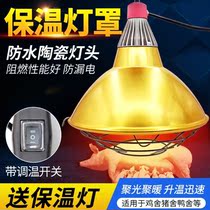 Warm light bulb pig with insulated lamp small chicken duck Ducks Pig Farm Piglet Warm Light Incubator Sparkling Noodles to thicken