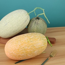 Emulated fruit model Hammigua reticulated melon fruit and vegetable swing piece home cupboard-like plate room decoration shooting props